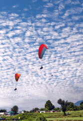 Beautiful landscape view with Paragliders in the sky at Bir Billing Himachal Pradesh.