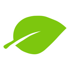 Single green leaf representing eco-friendly concept - stock vector svg