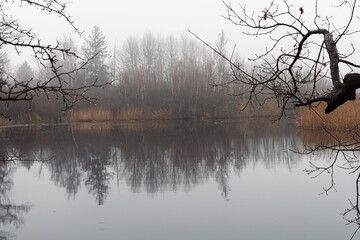 A natural landscape with a lake, tall grass, and trees under a cloudy sky on a foggy morning.