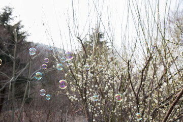 비눗방울, bubbles,