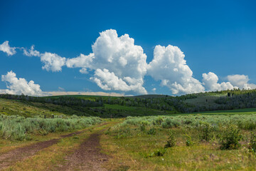 Obraz premium summer road with sage meadow and clouds forming in blue sky