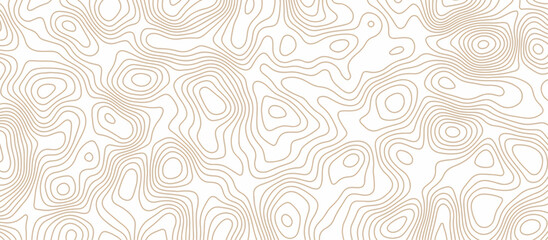 Abstract wave paper curved reliefs background .gradient multicolor wave curve lines banner background design .topographic contours map background .Vector geographic contour map.