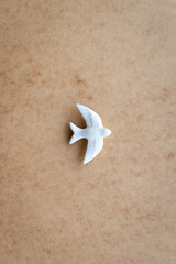 White swallow on neutral background