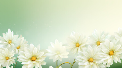 Beautiful spring background with daisies