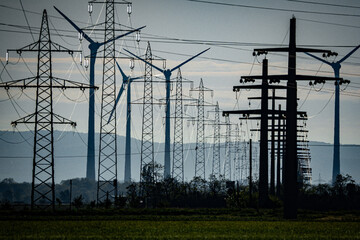 power lines in the morning