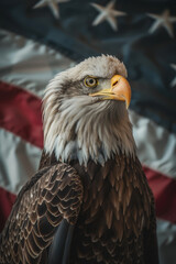 American Bald Eagle Against Flag, Symbol of Freedom