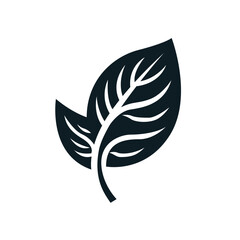 Fototapeta premium Leaf Icon Vector Illustration