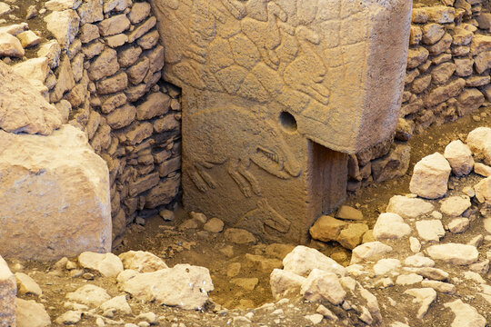 Gobekli Tepe neolithic archaeological site dating from 10 millennium BC, Massive stone pillars with sculptural relief of wild animals, Potbelly Hill, Sanliurfa, Turkey