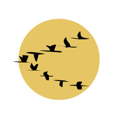 silhouette of a birds flying