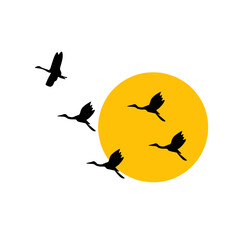 silhouette of a birds flying