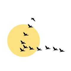 silhouette of a birds flying