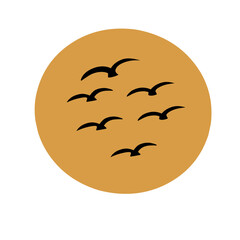 silhouette of a birds flying