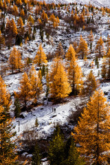 Landscape in the Alps