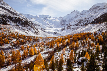 Landscape in the Alps