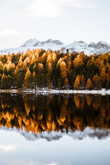 Landscape in the Alps