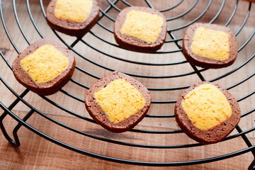 10歳の子供と焼いた焼きたて手作りクッキー。かぼちゃ味とココア味のアイスボックスクッキー