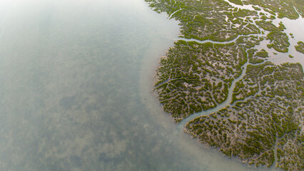 Aerial photo above a brackish marshland.