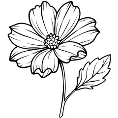 Cosmos flower plant outline illustration coloring book page design, Cosmos flower plant black and white line art drawing coloring book pages for children and adults