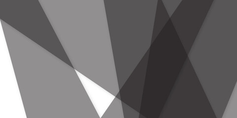 Abstract white and black on light silver background modern design. triangle as background paper texture. Low poly vector illustration