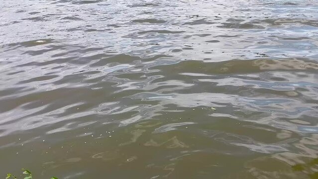 Natural background of waves or water ripple at the lake. Calm environment