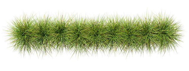 Top view farming grassy row realistic on transparent backgrounds 3d render png © Krit