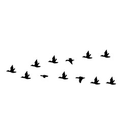 flying birds silhouette