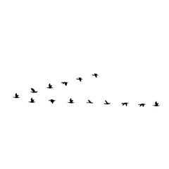 flying birds silhouette