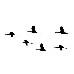 flying birds silhouette