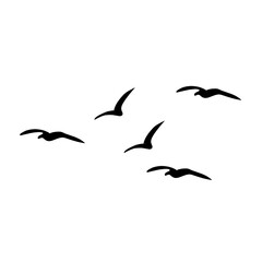 flying birds silhouette