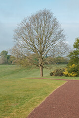 Morning walk over Cowdray golf coarse, Midhurst, West Sussex, England, UK.
