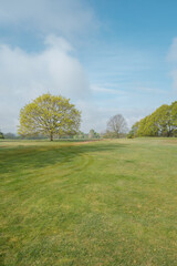 Morning walk over Cowdray golf coarse, Midhurst, West Sussex, England, UK.