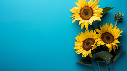 Banner, Frische Sonnenblumen auf türkisfarbenen Hintergrund