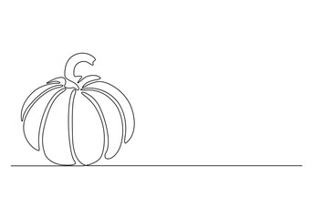 Pumpkin continuous single line drawing vector illustration. Pro vector