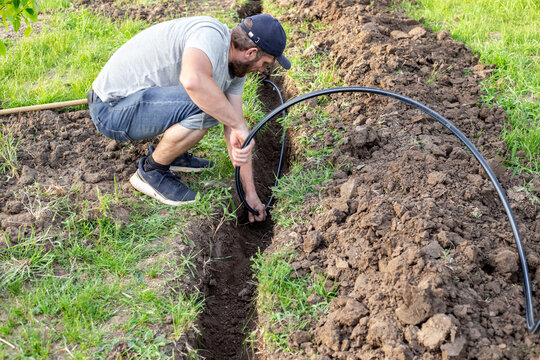 Installation of automatic drip irrigation for the garden. A man places a plastic pipe on top of a dug ditch to supply water to a drip irrigation system