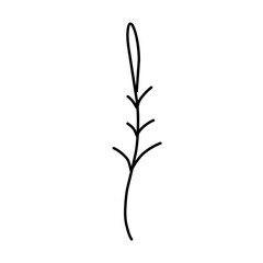 Plant drawing in linear style