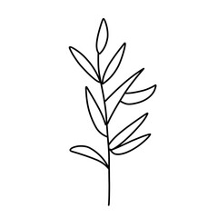 Plant drawing in linear style