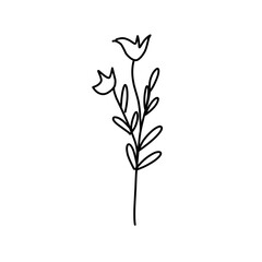 Plant drawing in linear style