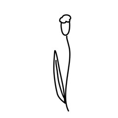 Plant drawing in linear style