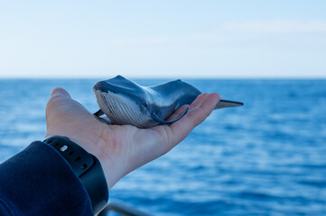 blue whale miniature in the hand of a teenager over the Atlantic ocean