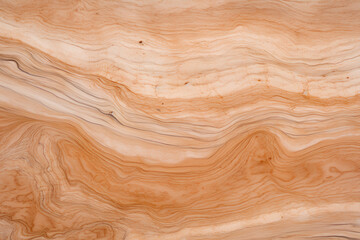 Fototapeta premium texture of wood background
