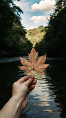hand holding a leaf