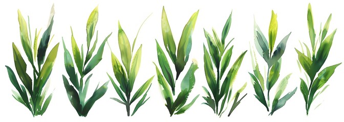 Obraz premium watercolor, grass clipart, vector style, white background