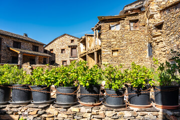 Pots with green plants that bloom in spring in the villages of Spain.
