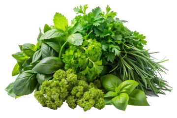 Isolated Pile of Fresh Herbs: A pile of fresh herbs such as basil, parsley, and cilantro isolated on a transparent background, great for garnishing dishes and adding flavor to recipes.
