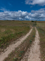 landscape, view, rural, spring, plants, clouds, sky, flora, fiel