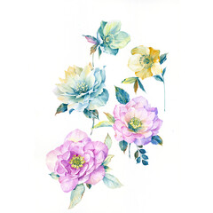 Watercolor Wonderland Floral and Foliage Hand Drawn Illustrations