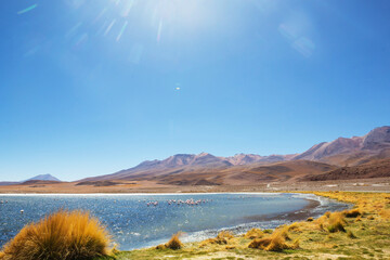 Lake in Bolivia