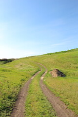 A dirt road in a green field