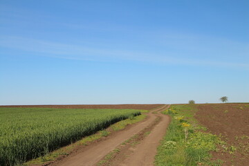 A dirt road through a field
