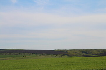 A field with a large cloud in the sky